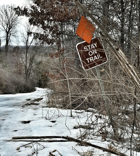 Trail