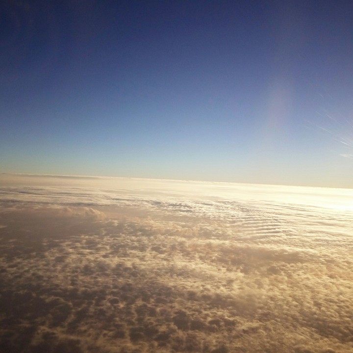 from the flight