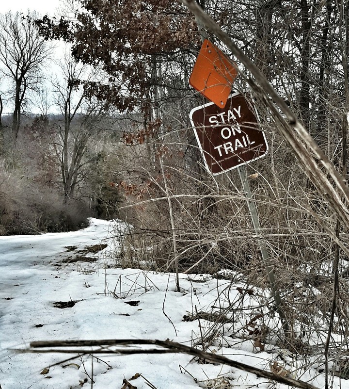Trail
