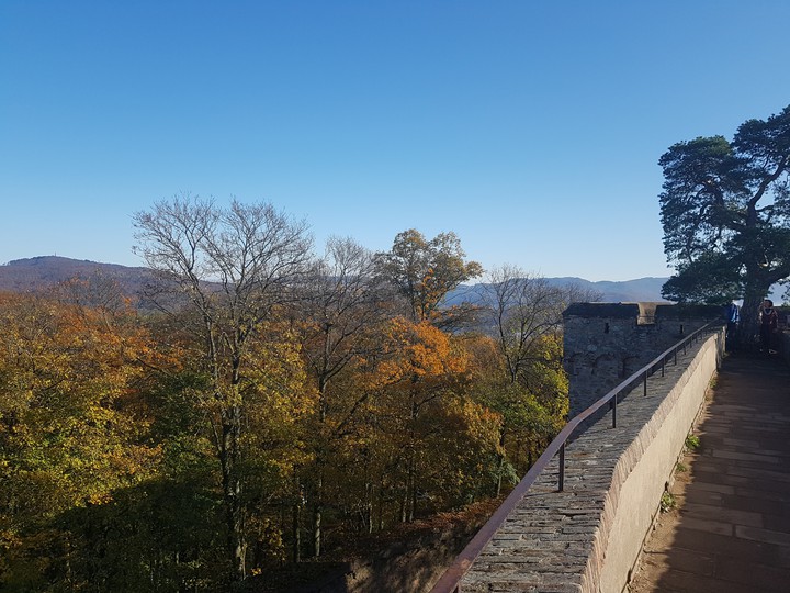 Auerbacher Schloss