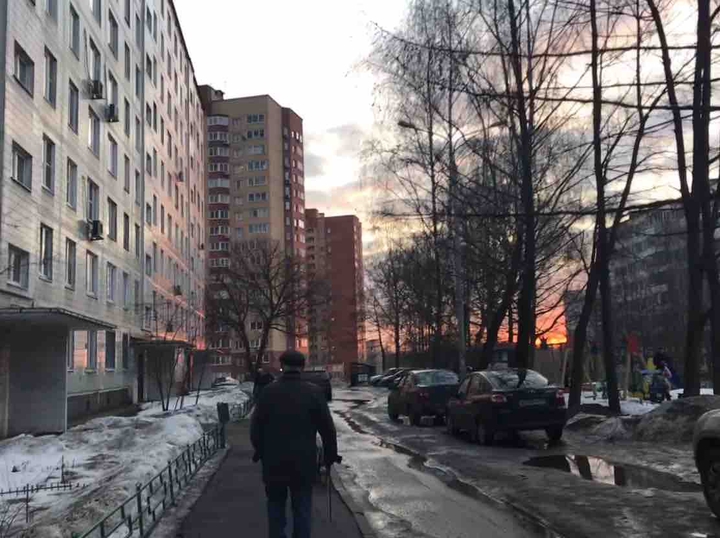 Дедушка с собакой ?