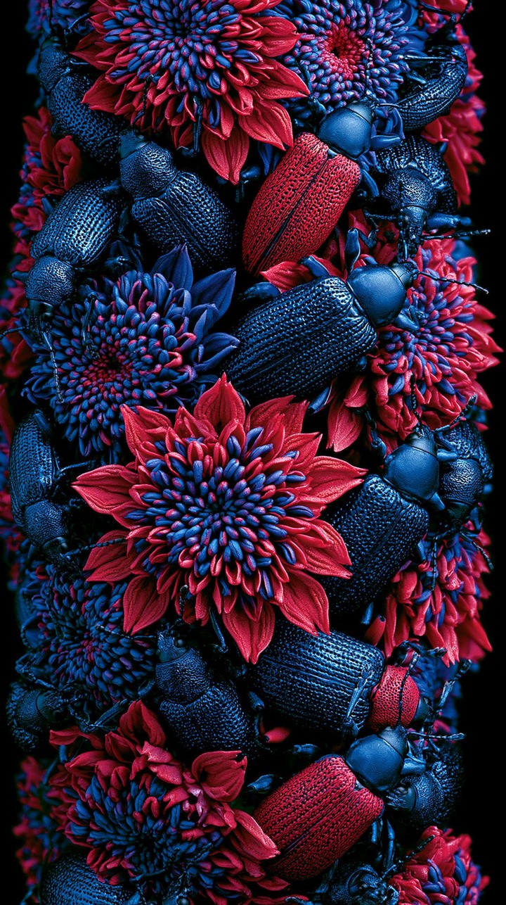 .