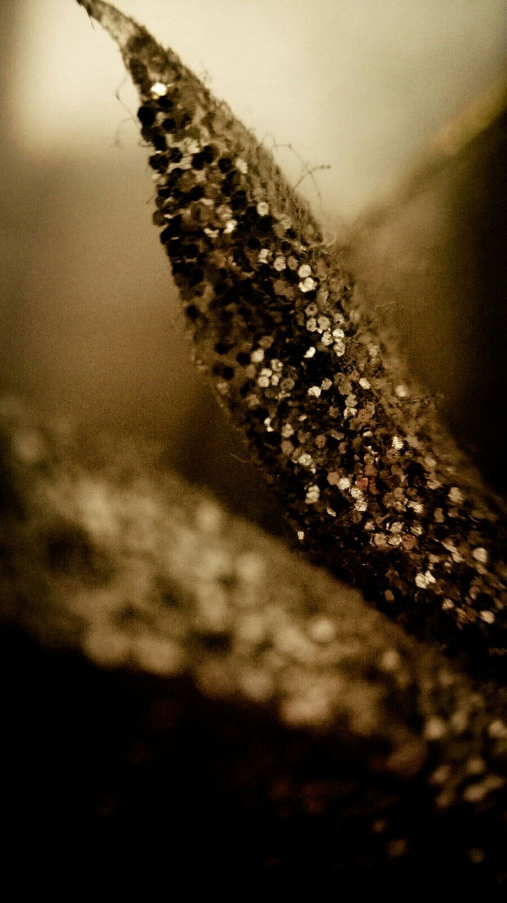 gold plume