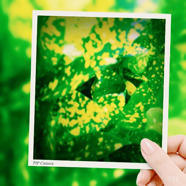 a green world