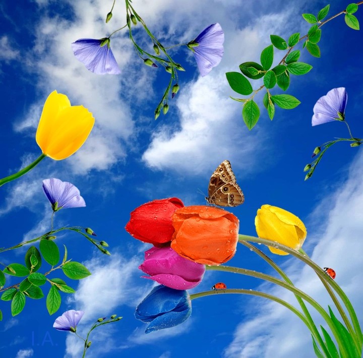 lovely day...
