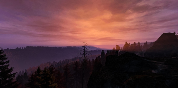 DayZ