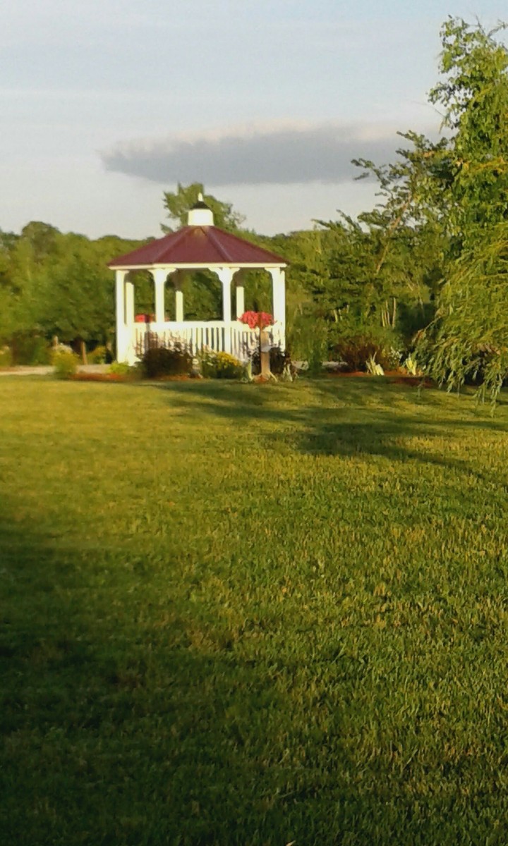 Angel's Park