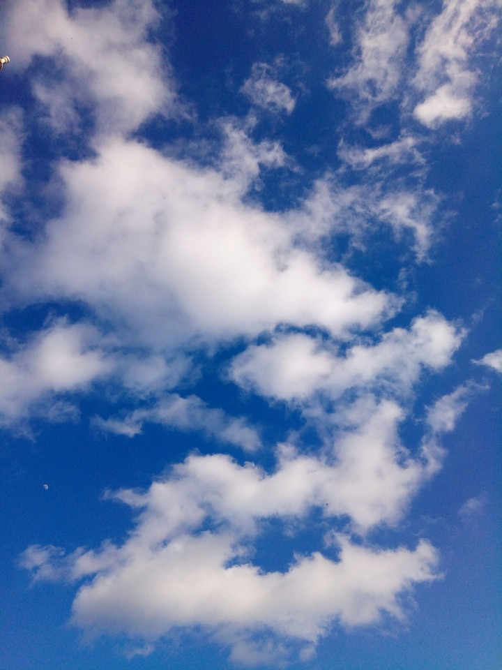 Fresh Sky