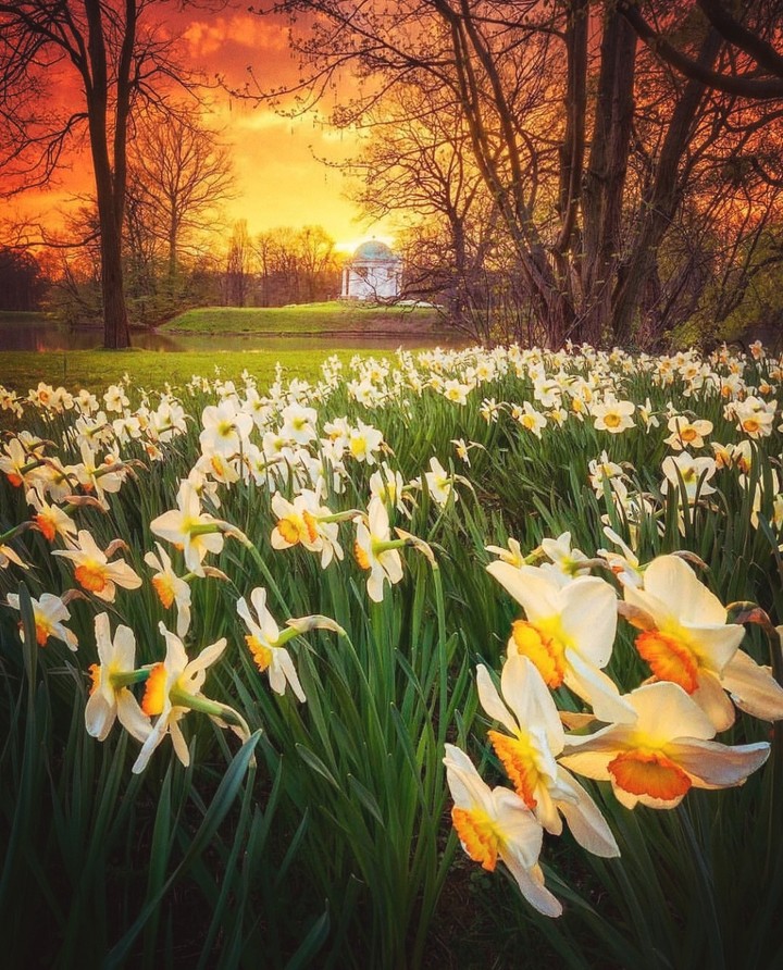 GOOD MORNING TO ALL MY DEAREST FOLLOWERS