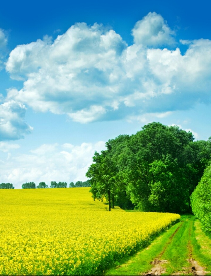 Nature