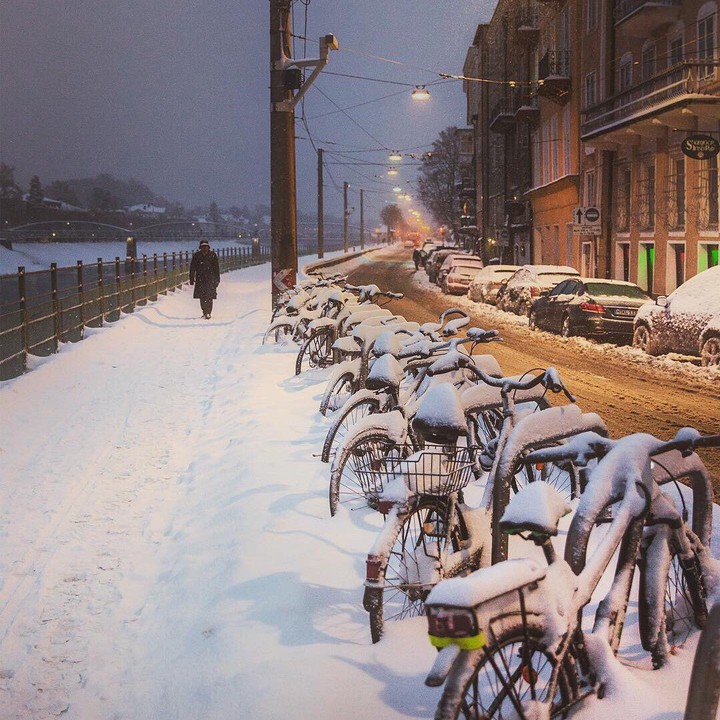 winter