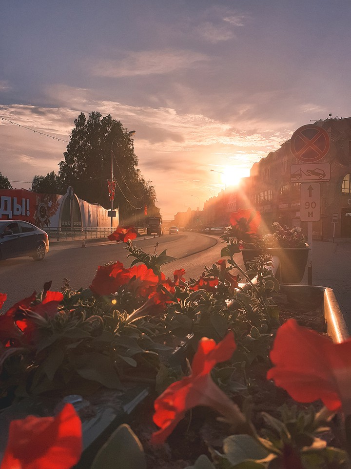 city sunset