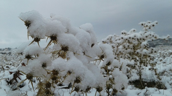 snow