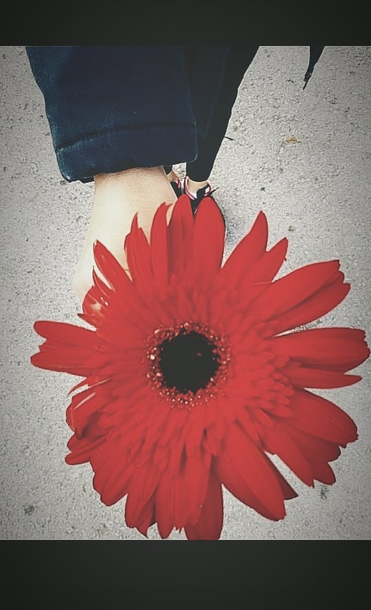red