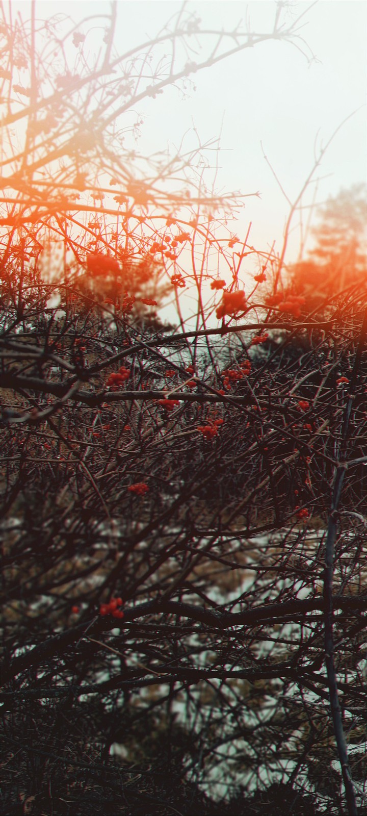 осень