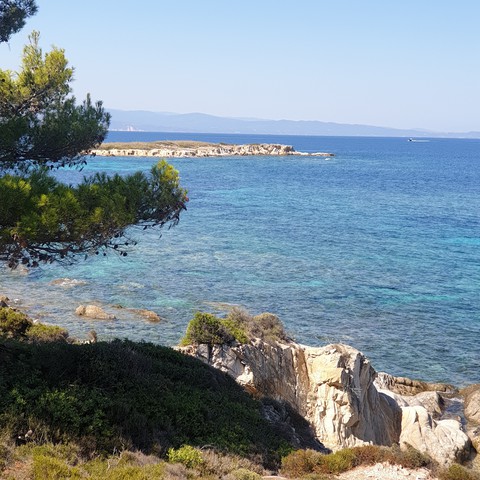 море