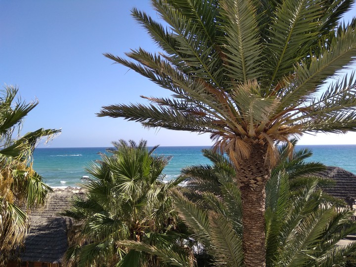 Tunisia