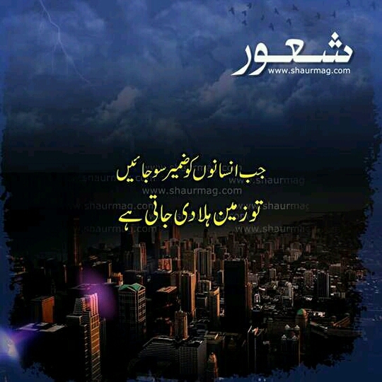 Shaur