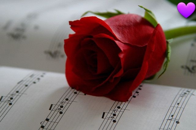 NOTES OF LOVE