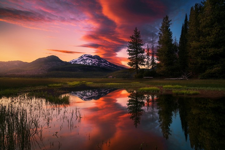 Colorful Nature