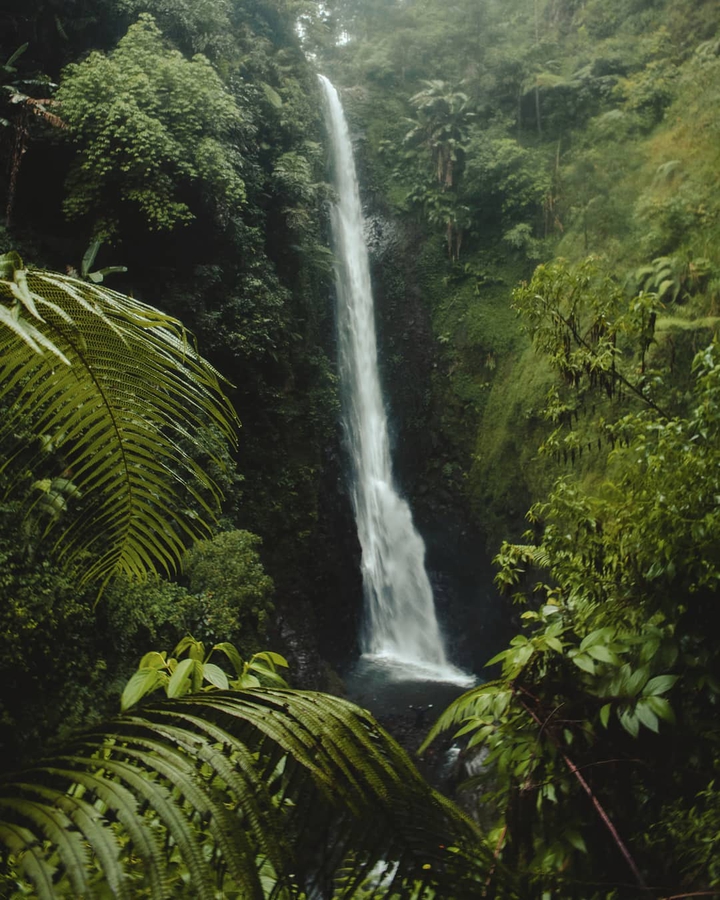 The waterfall earth