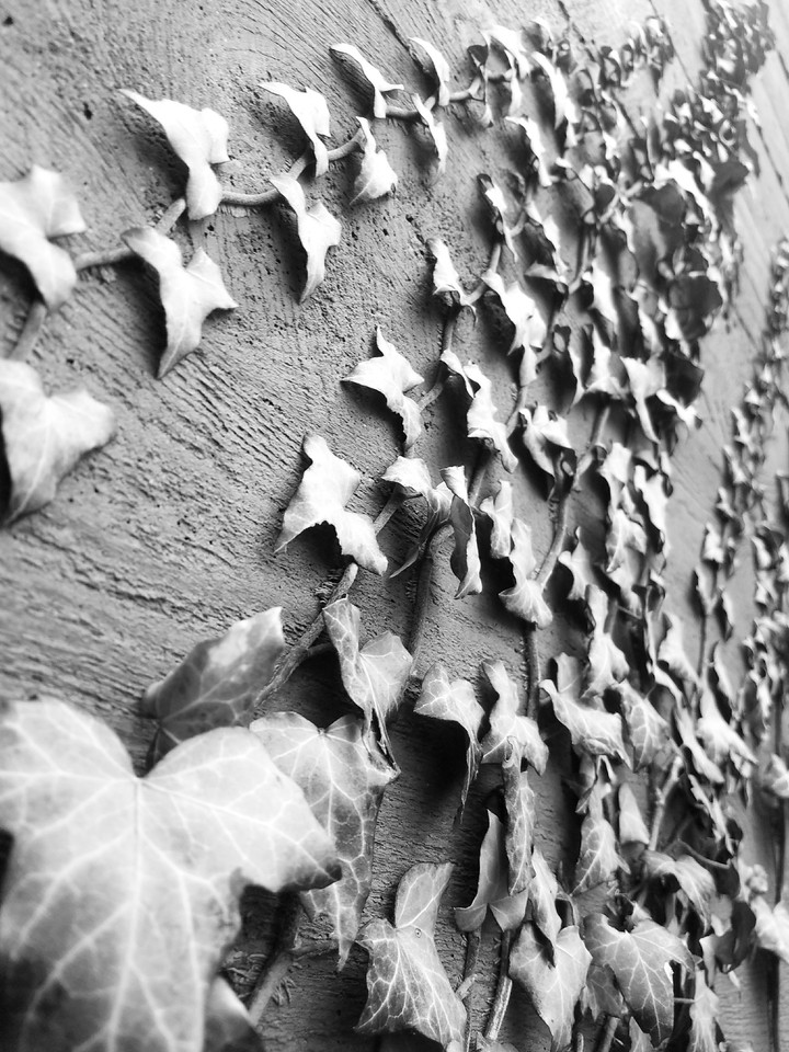 Climb