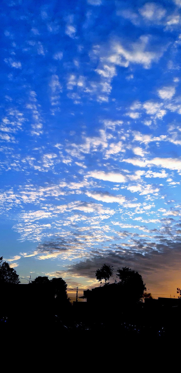 Sky