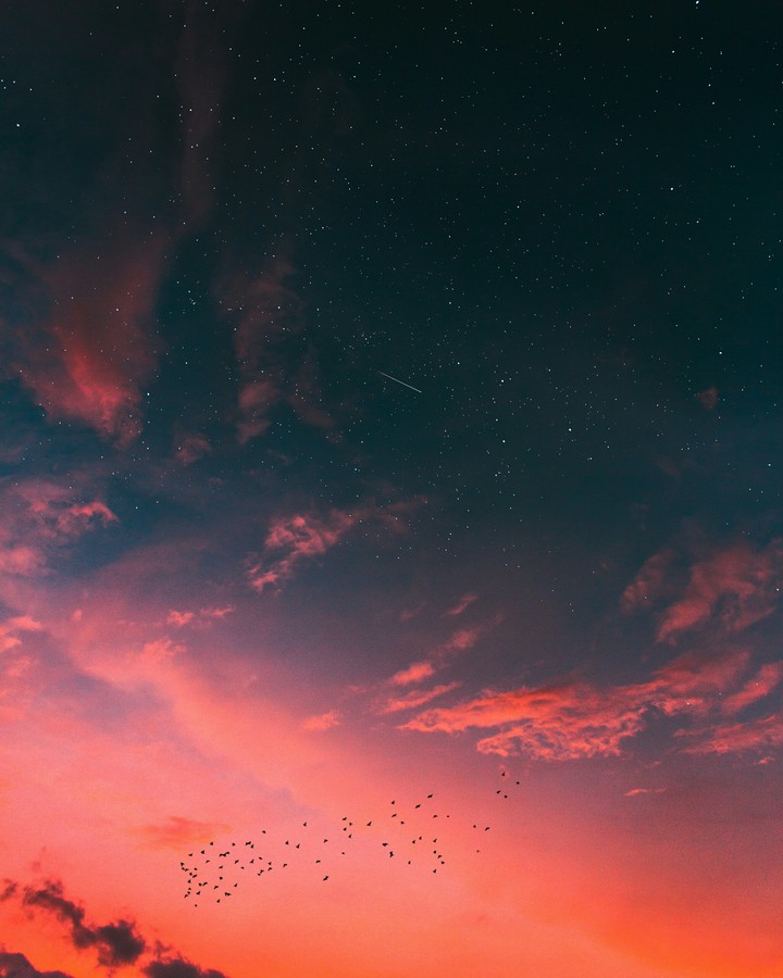 Orange Sky