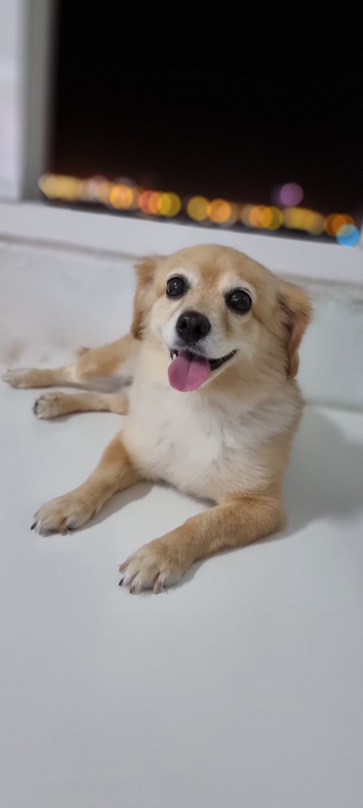 Smile