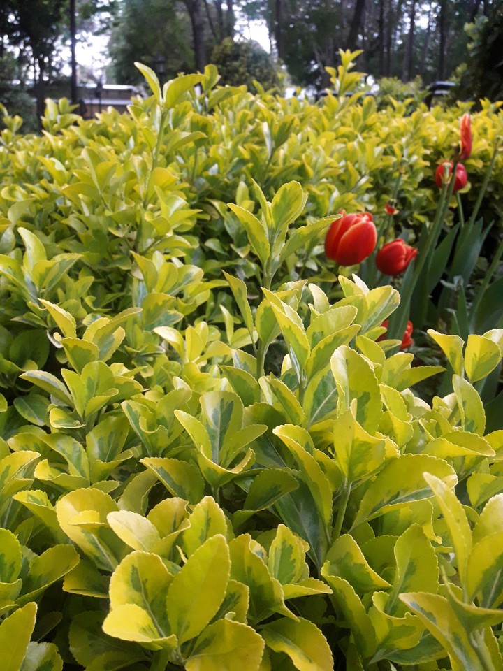 collection of colors