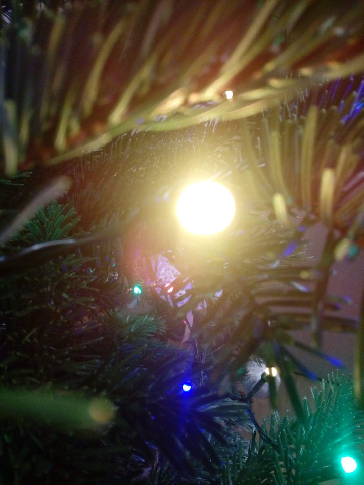 Christmas time