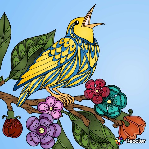 branch, bird wallpapers