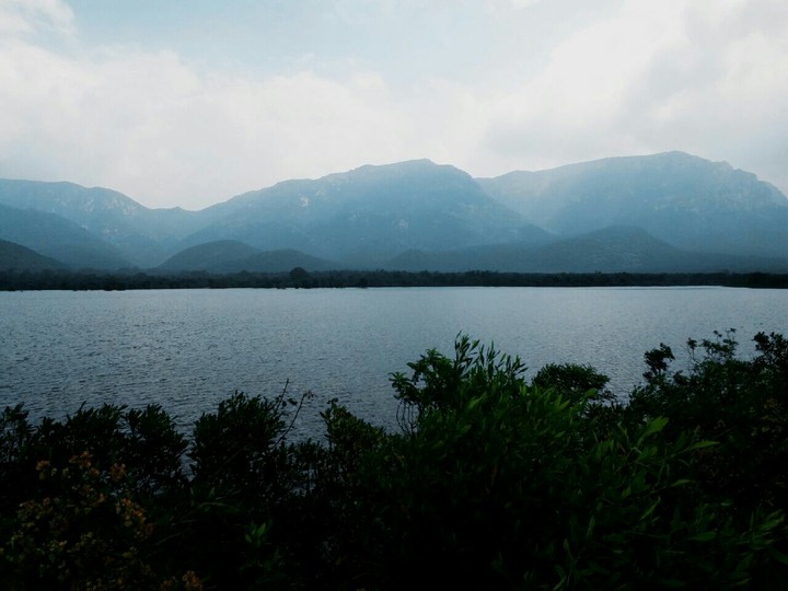 the lake in middle of forest....