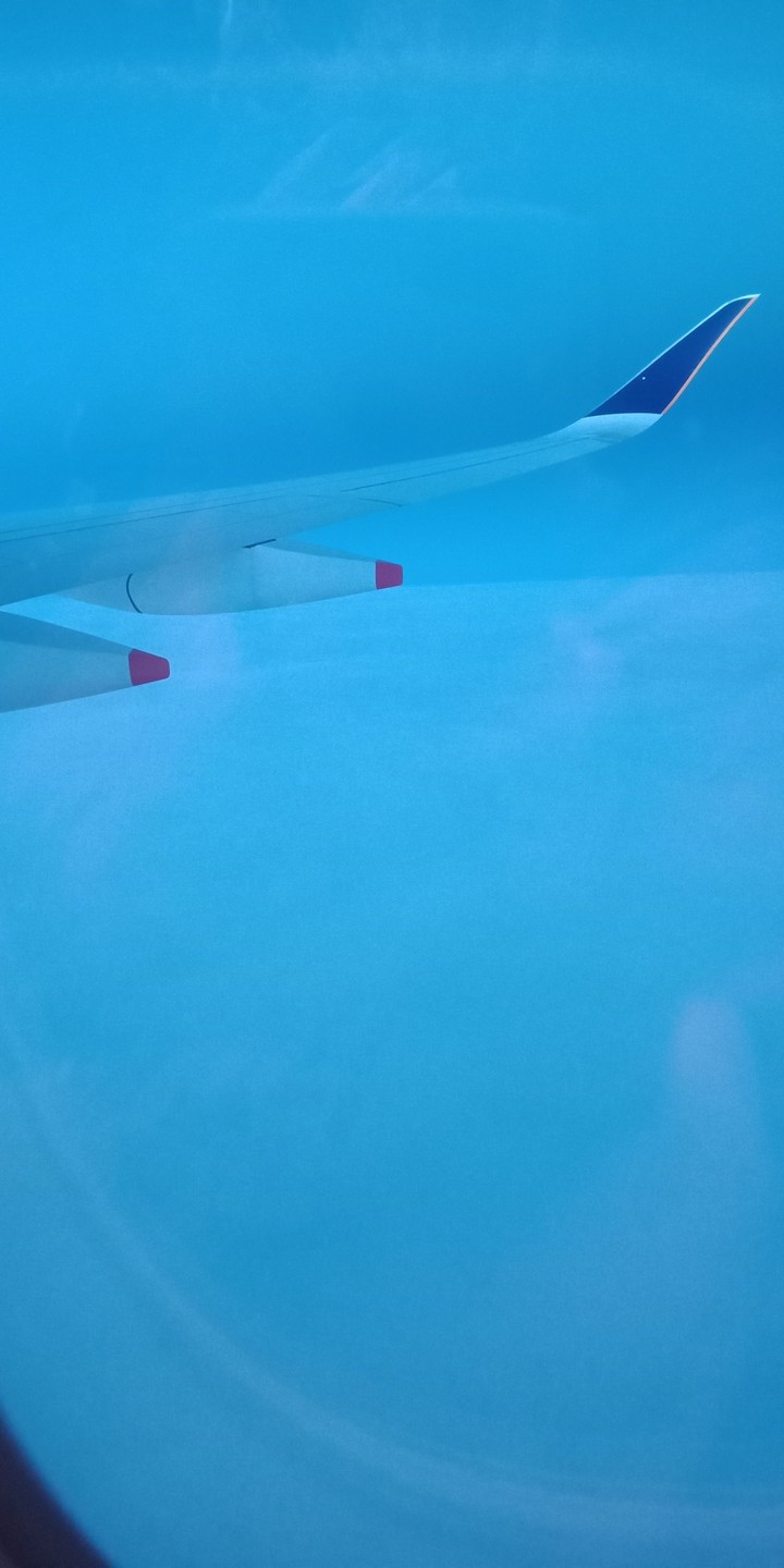 Singapore Airlines