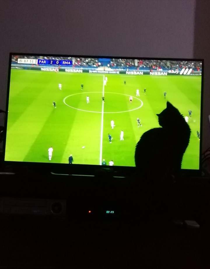 Cat and Football