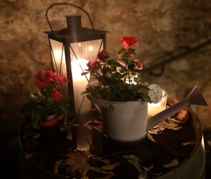 Flowers and candles - night beauties