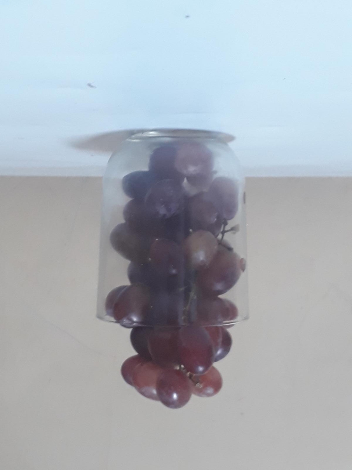 cup of grapes
