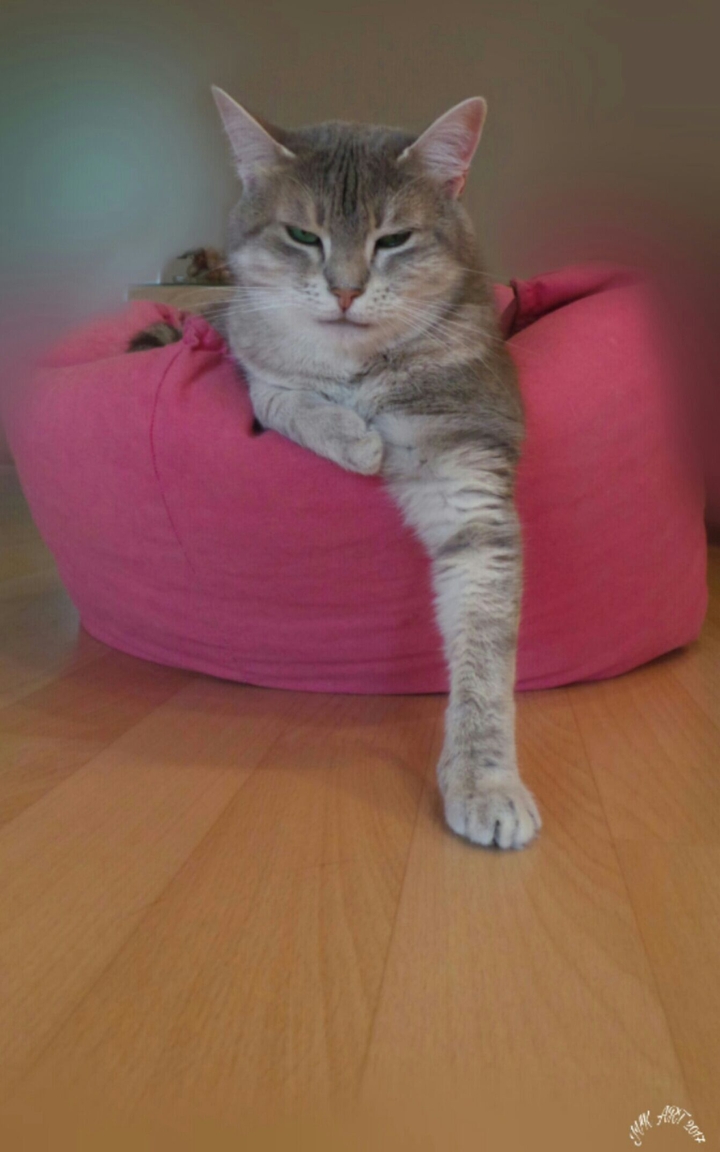 Louna