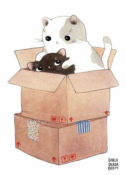 Коты