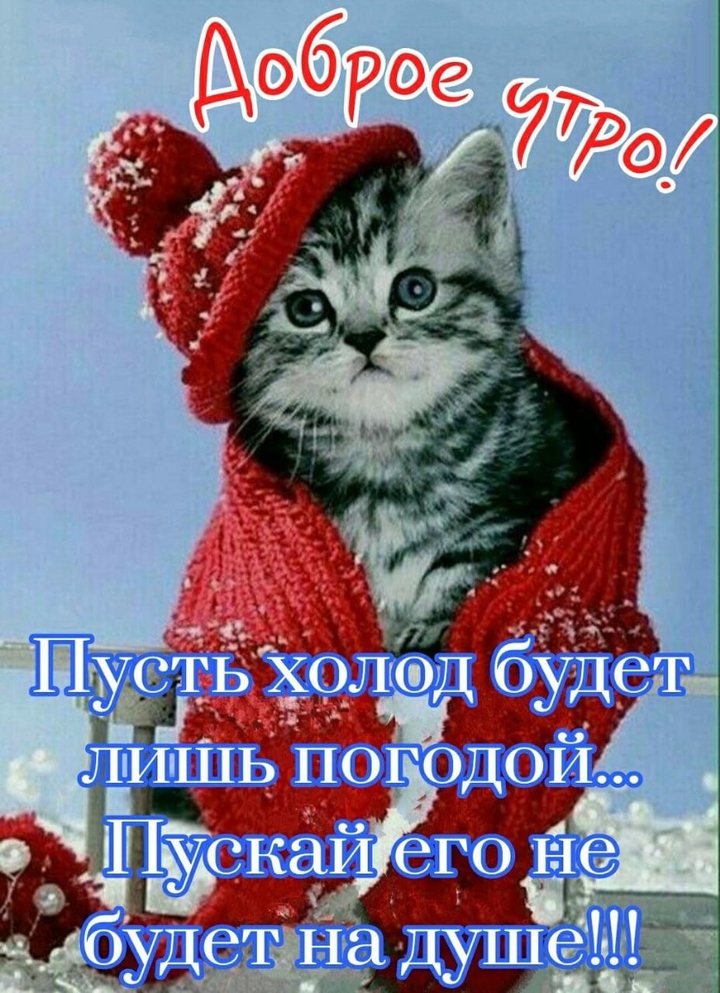 завтра зимнее утро,друзья!