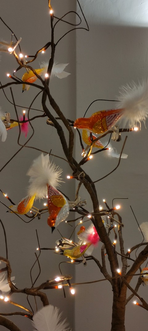 sfondi ornament, branch