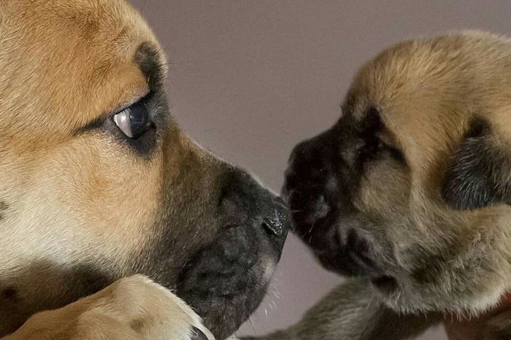 ❤