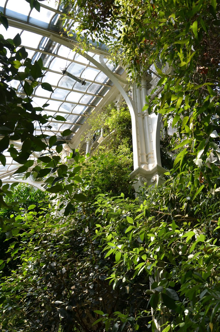 The green inside