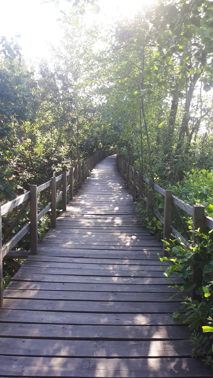 Tahta Yol