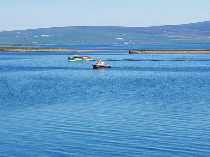 return to harbour