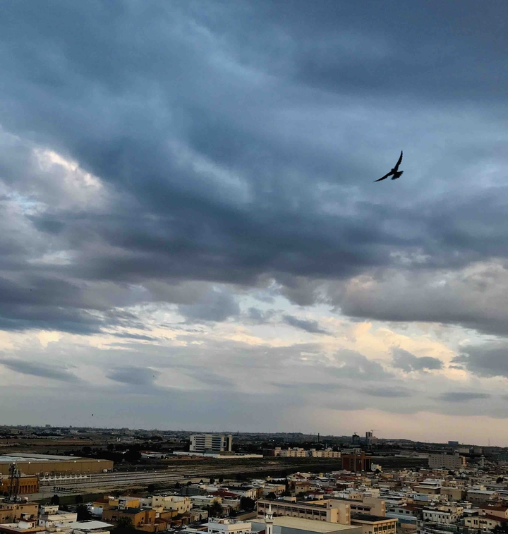 Dammam, Fatima Al Zahra district.