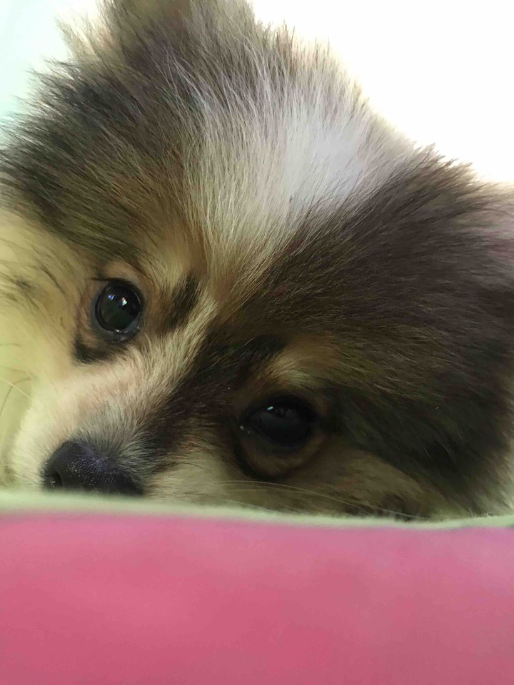 So cute baby??????