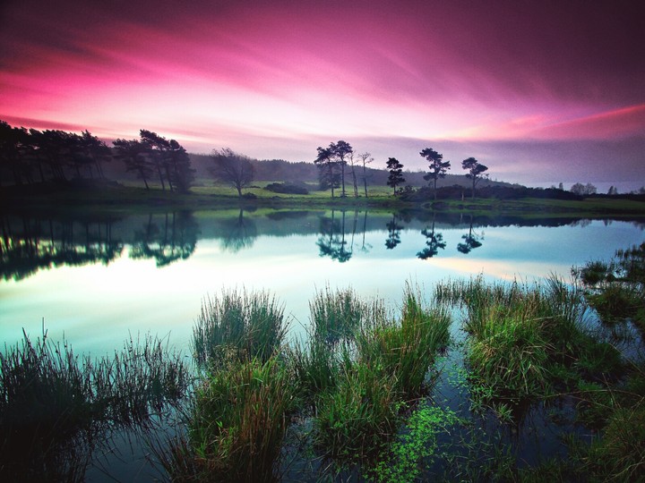 nature