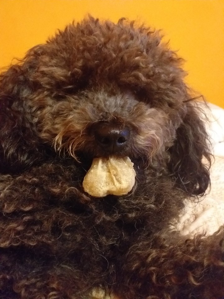 Jojó