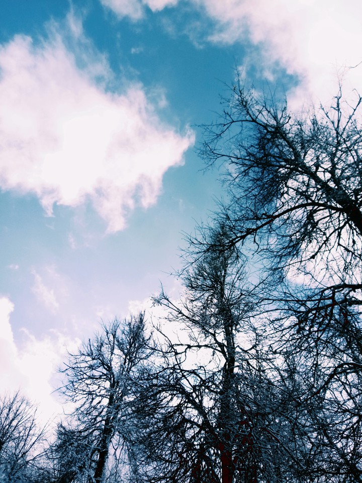 sky